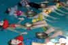 ADschuleIMG_0270
